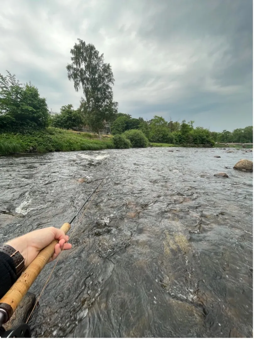 fiske i hertingforsen