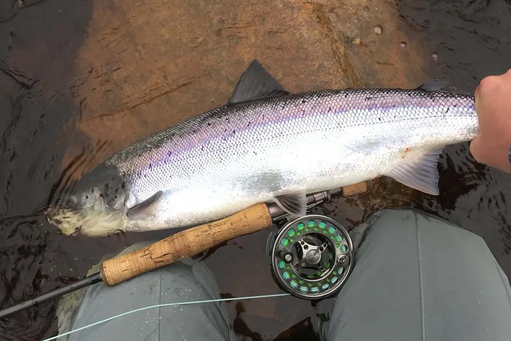 Oroväckande tider