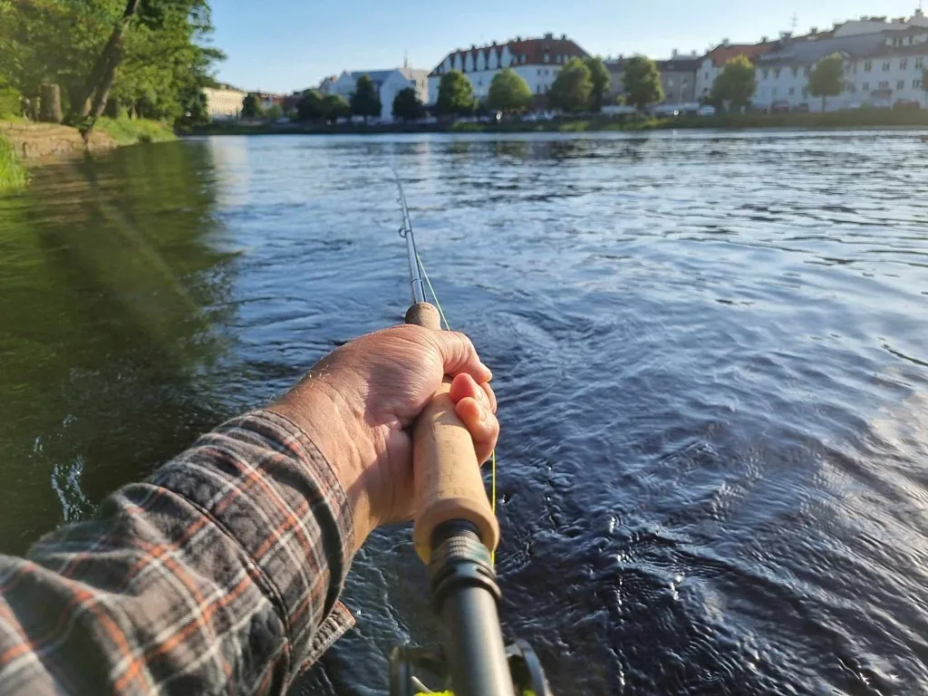 Hopp inför framtiden!